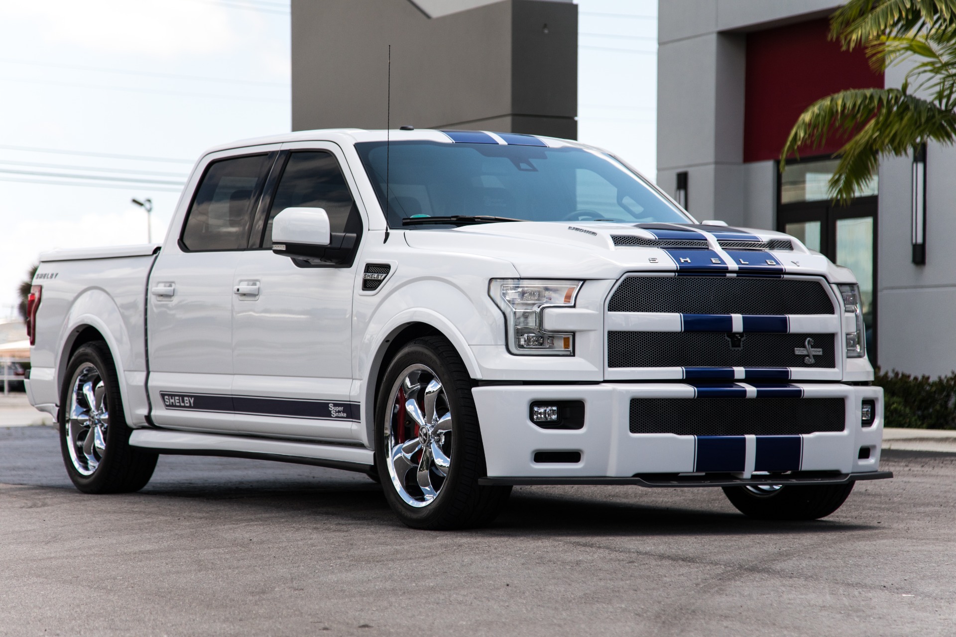 1:18 scale Shelby F150 Supersnake in White by GT Spirit Coming this ...